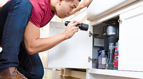 How To Do Your Own Home Pest Inspection For Free