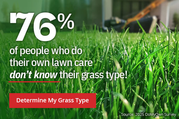 Grass Type 76% of people who ddo their own lawn care don't know their grass type |Determine My Grass Type|
