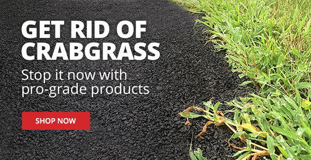 Get rid of crabgrass - stop it now with pro-grade products |SHOP NOW|