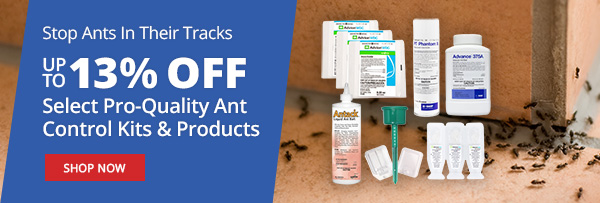 Stop Ants in their Tracks - Up to 13% off Select Pro-Quality Ant Control Kits & Products - Shop Now