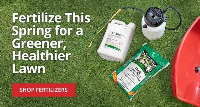 Fertilize Now for a Healthy Lawn & Garden |LEARN MORE|