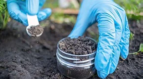 Why It's Important to Test Your Soil
