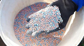 Spring Fertilizer Buying Guide