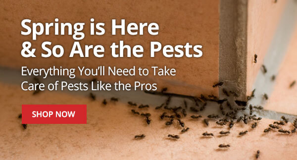 Spring is here and so are the pests - Everything You'll need to take care of pests like the pros |SHOP NOW| 