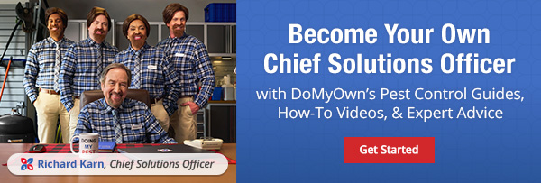 Become Your Own Chiefs Solutions Officer