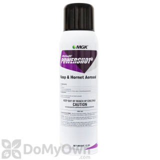 Onslaught Powershot Wasp & Hornet Aerosol Onslaught Powershot Wasp & Hornet Aerosol