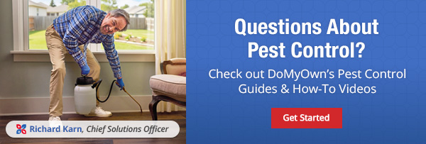 title Questions About Pest Control?