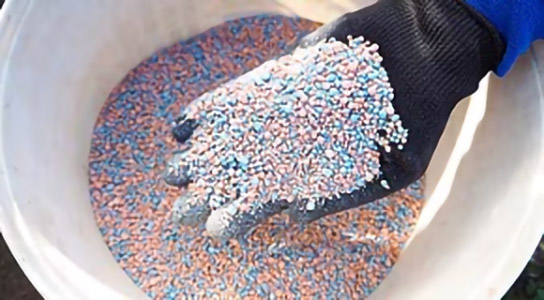 Spring Fertilizer Buyer's Guide