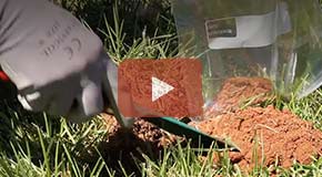 How to Test Your Soil