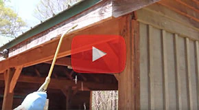 Spray an Insecticide Labeled for Wood Boring Bees