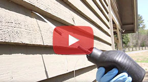Apply an Insecticide Dust & Plug Existing Holes