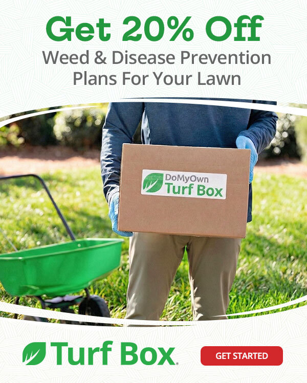 Zero Guesswork with 20% Off Weed & Disease Prevention Plans For Your Lawn |GET STARTED|