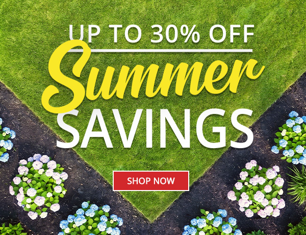 Summer Savings - Up to 30% off - SHOP NOW