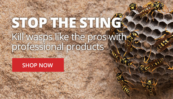 Stop the Sting - Kill wasps like the pros with professional products |SHOP NOW|