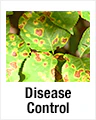 Disease Control