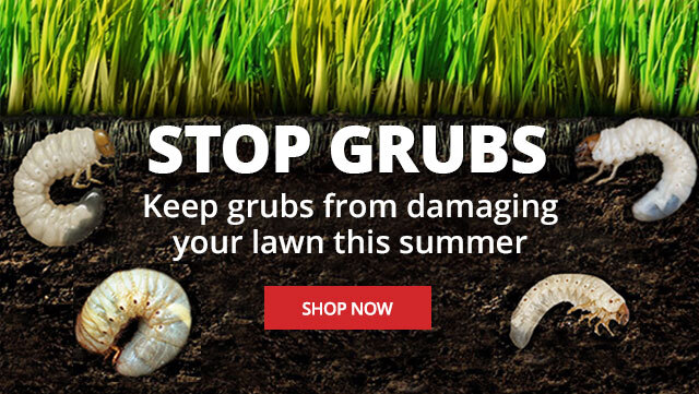 Stop Grubs - Keep grubs from Damaging Your Lawn this Summer |SHOP NOW|