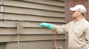 Control Flies Outdoors