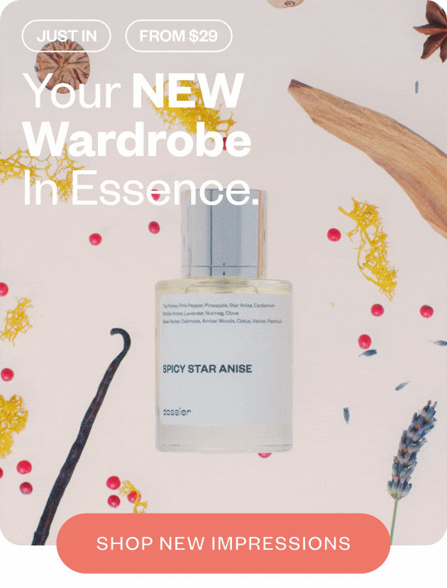 Your NEW wardrobe In Essence - Shop New Impressions