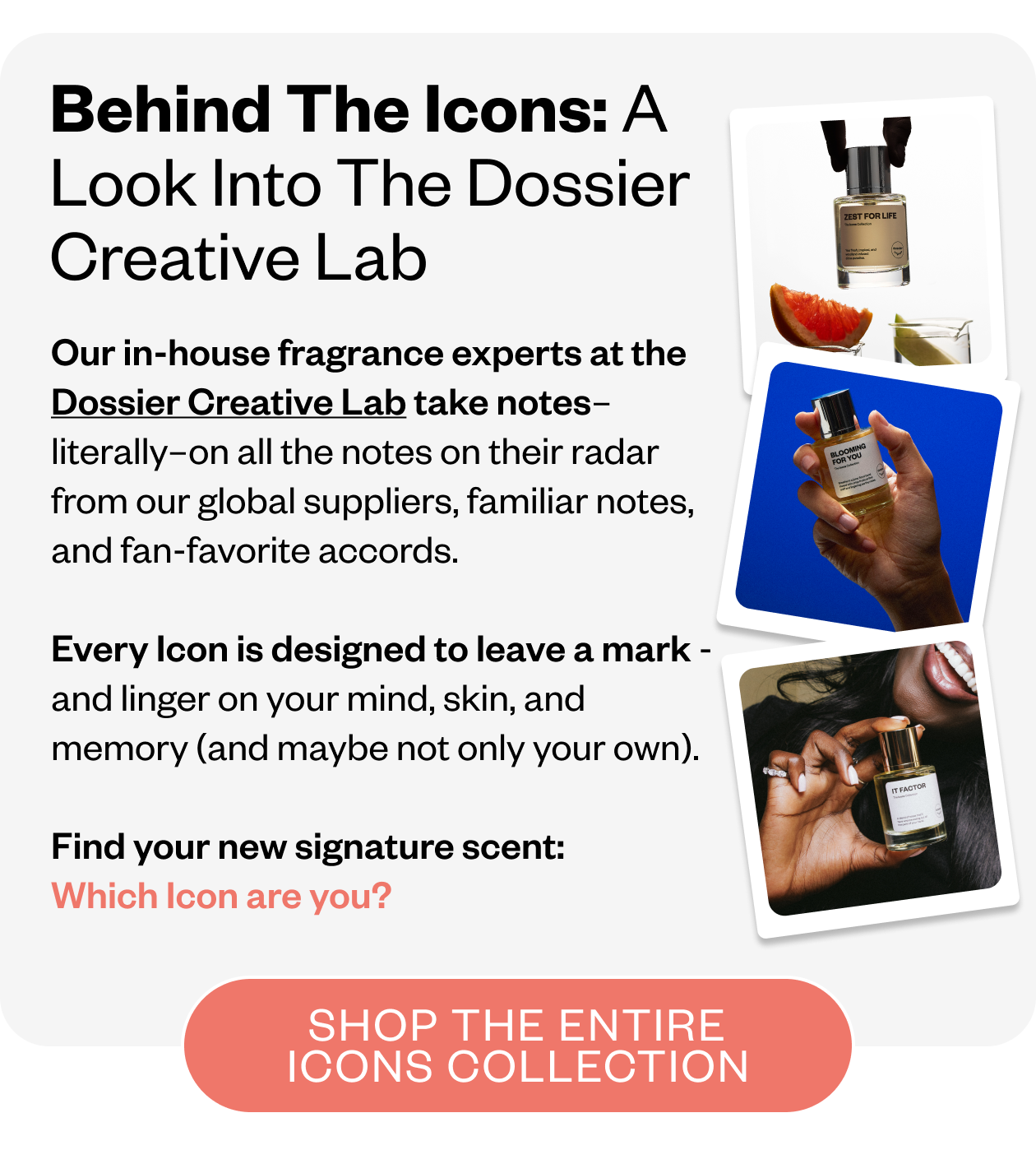 Shop the Icon's Collection