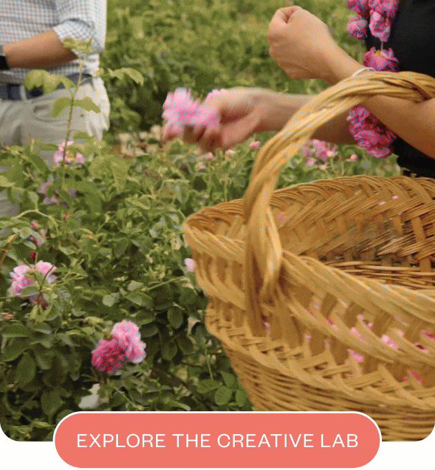 Explore the creative lab