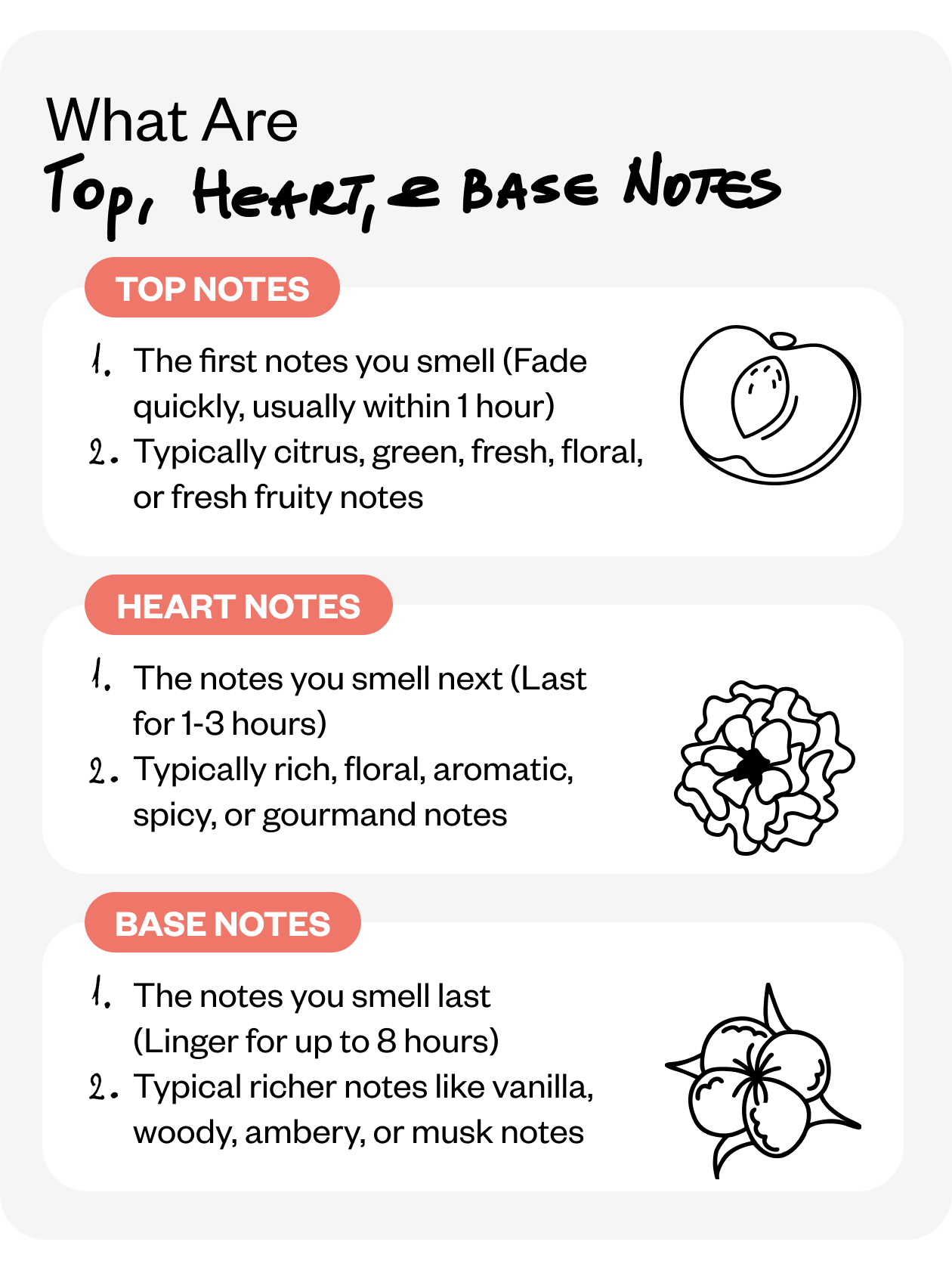 What are Top, Heart & Base Notes?