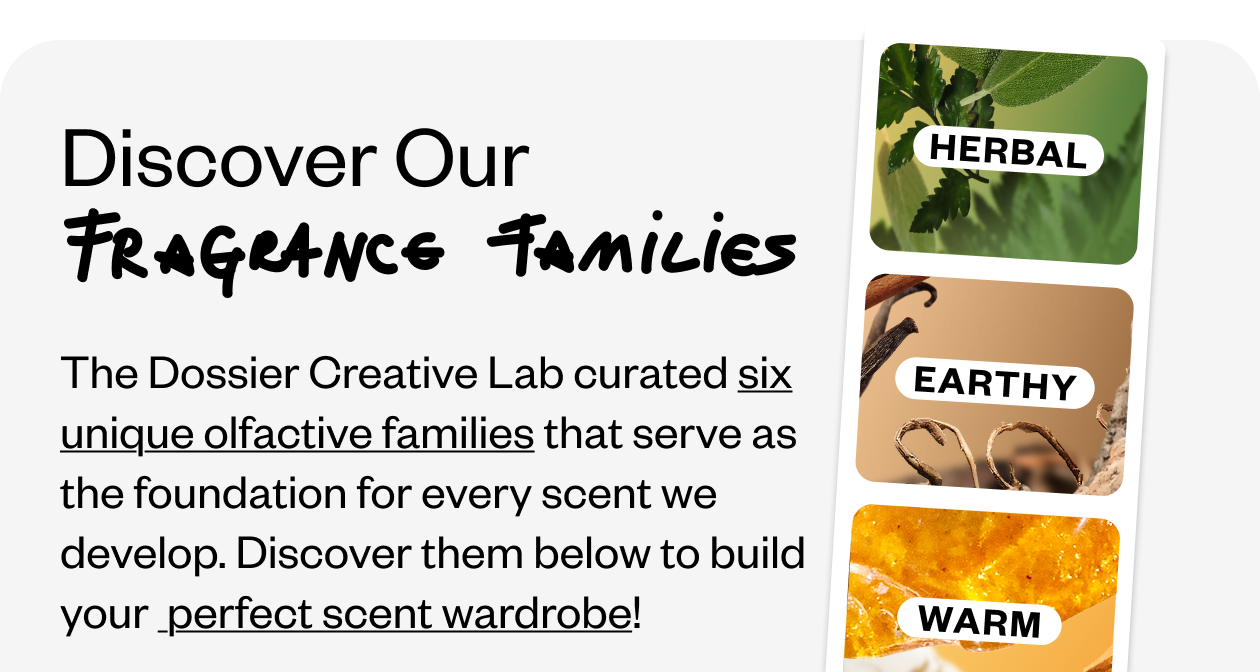 Discover Our Fragrance Families