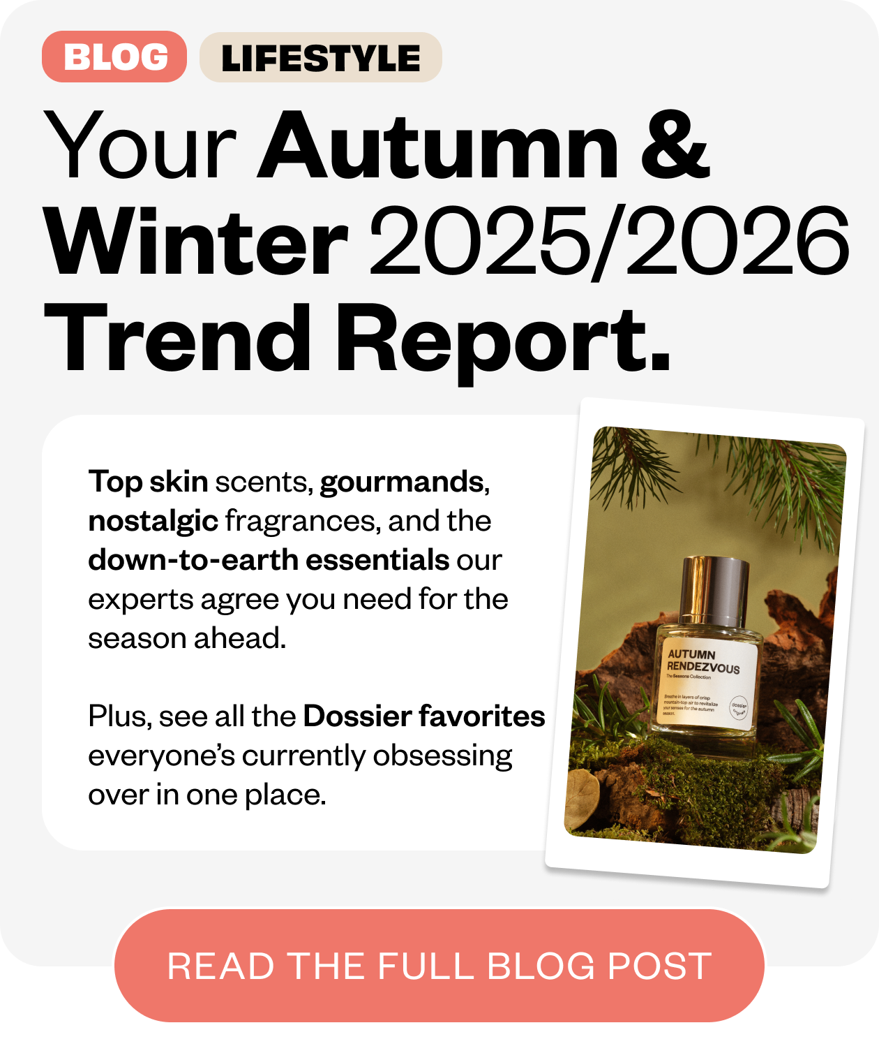 Your Autumn & Winter 2025/2026 Trend Report. 