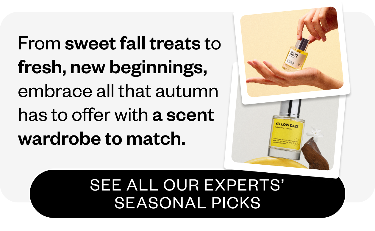 See all our seasonal picks