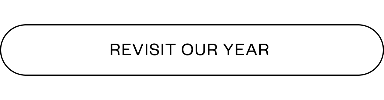 Revisit our year