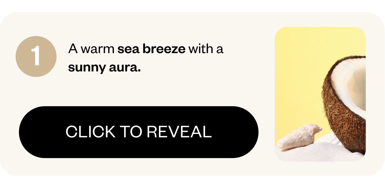 A warm sea breeze with a sunny sura