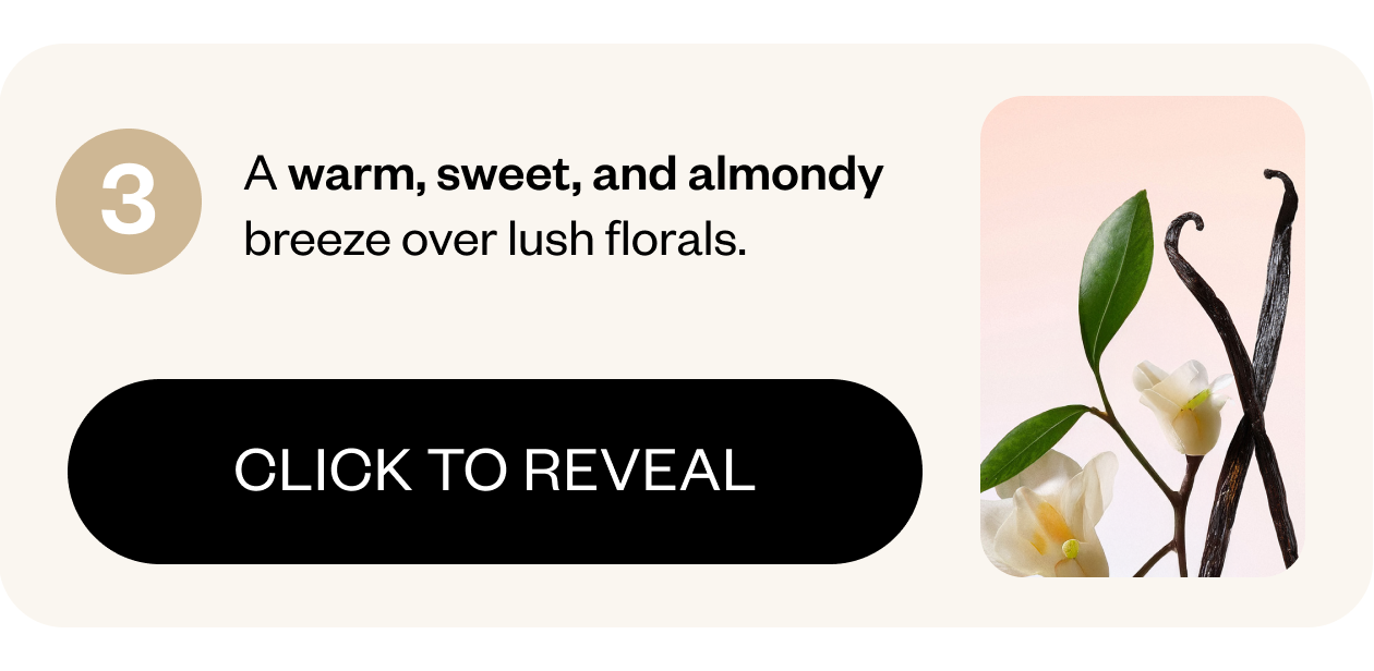 A warm, sweet, and almondy breeze over lush florals.