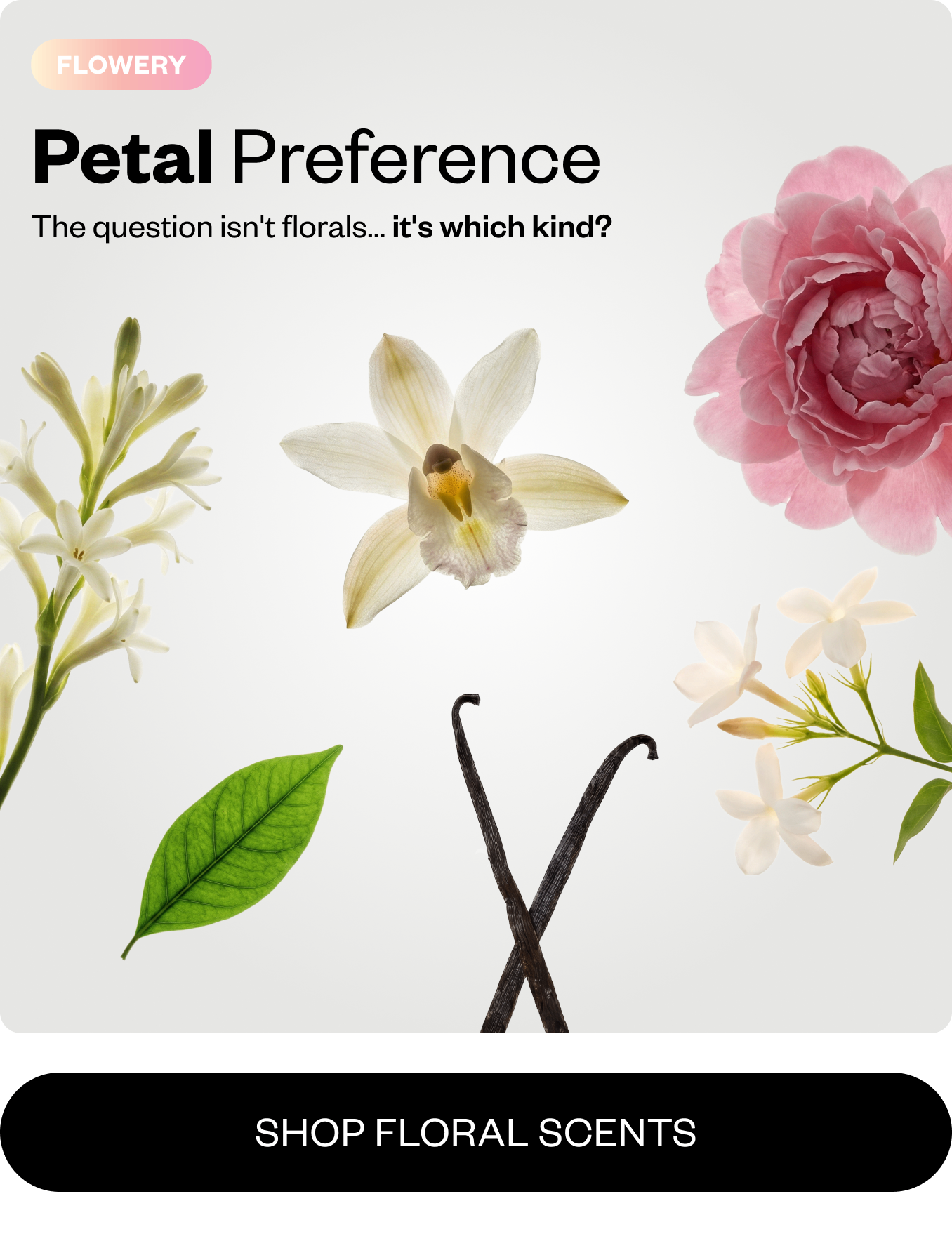 Petal Preference- Shop Floral Scents