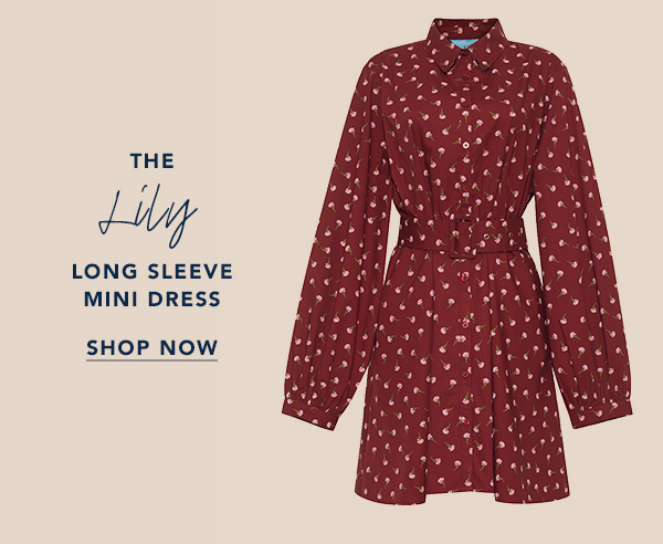 Lily Long Sleeve Mini Dress