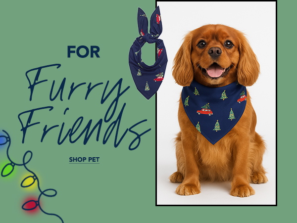 For Furry Friends