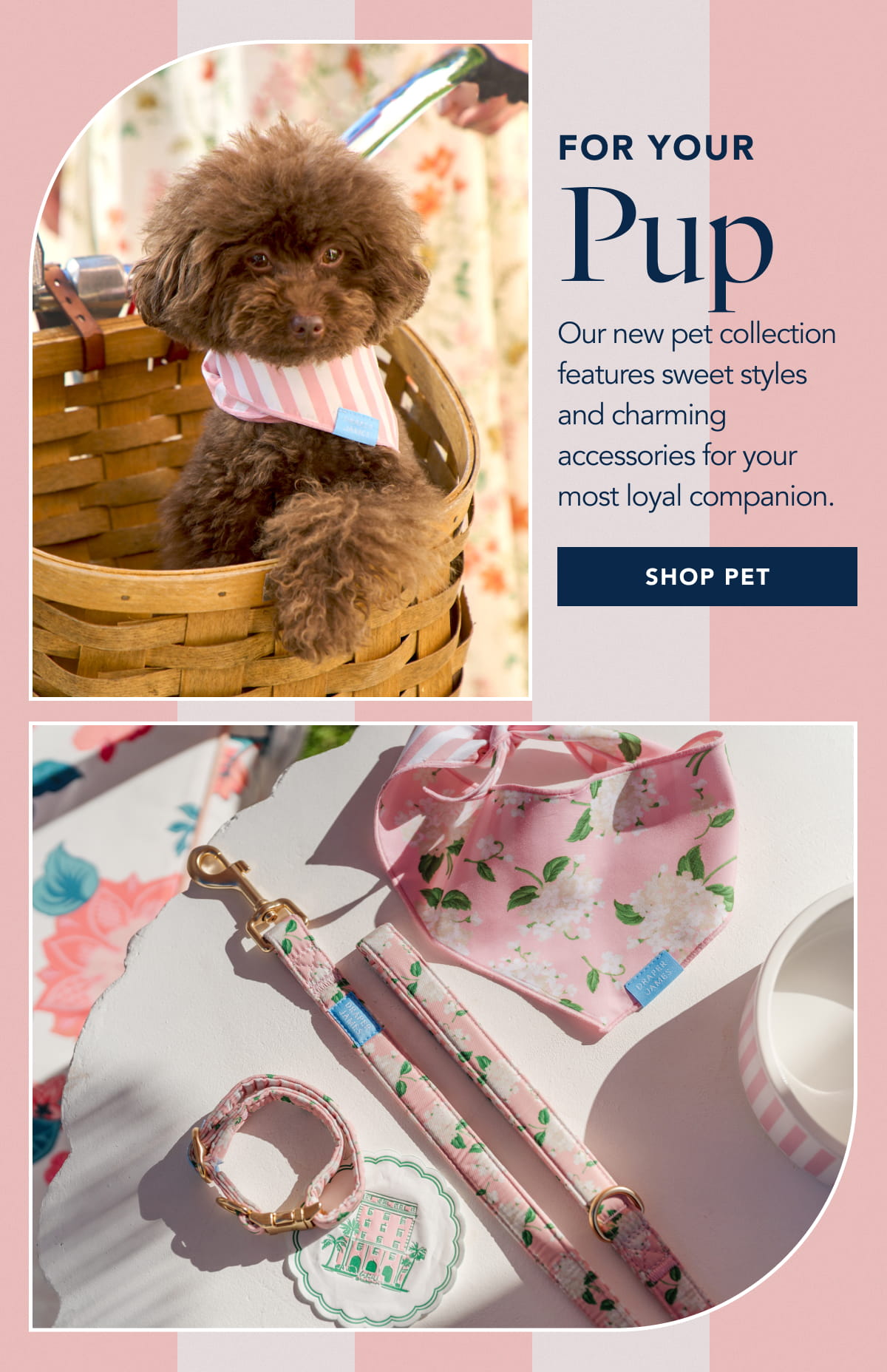 Our new pet collection features sweet styles and charming accessories for your most loyal companion.