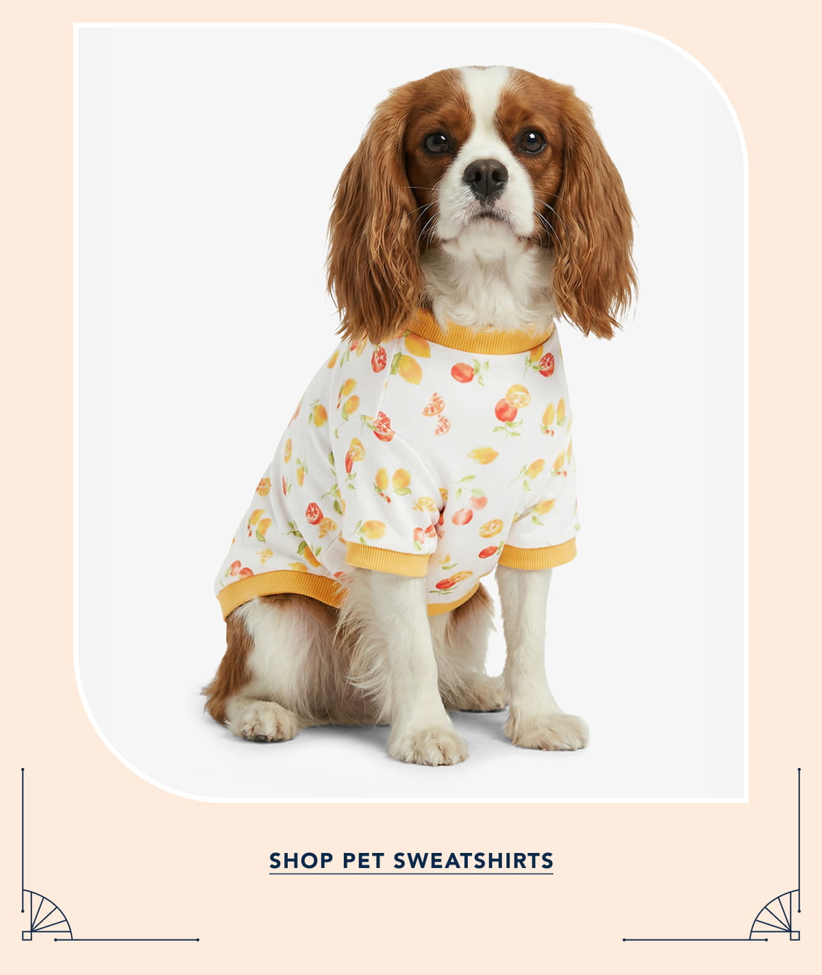 SHOP PET SWEATSHIRTS