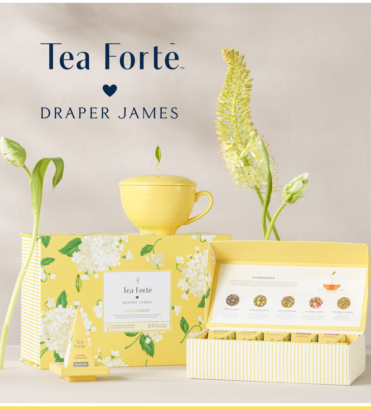 Tea Forte X Draper James