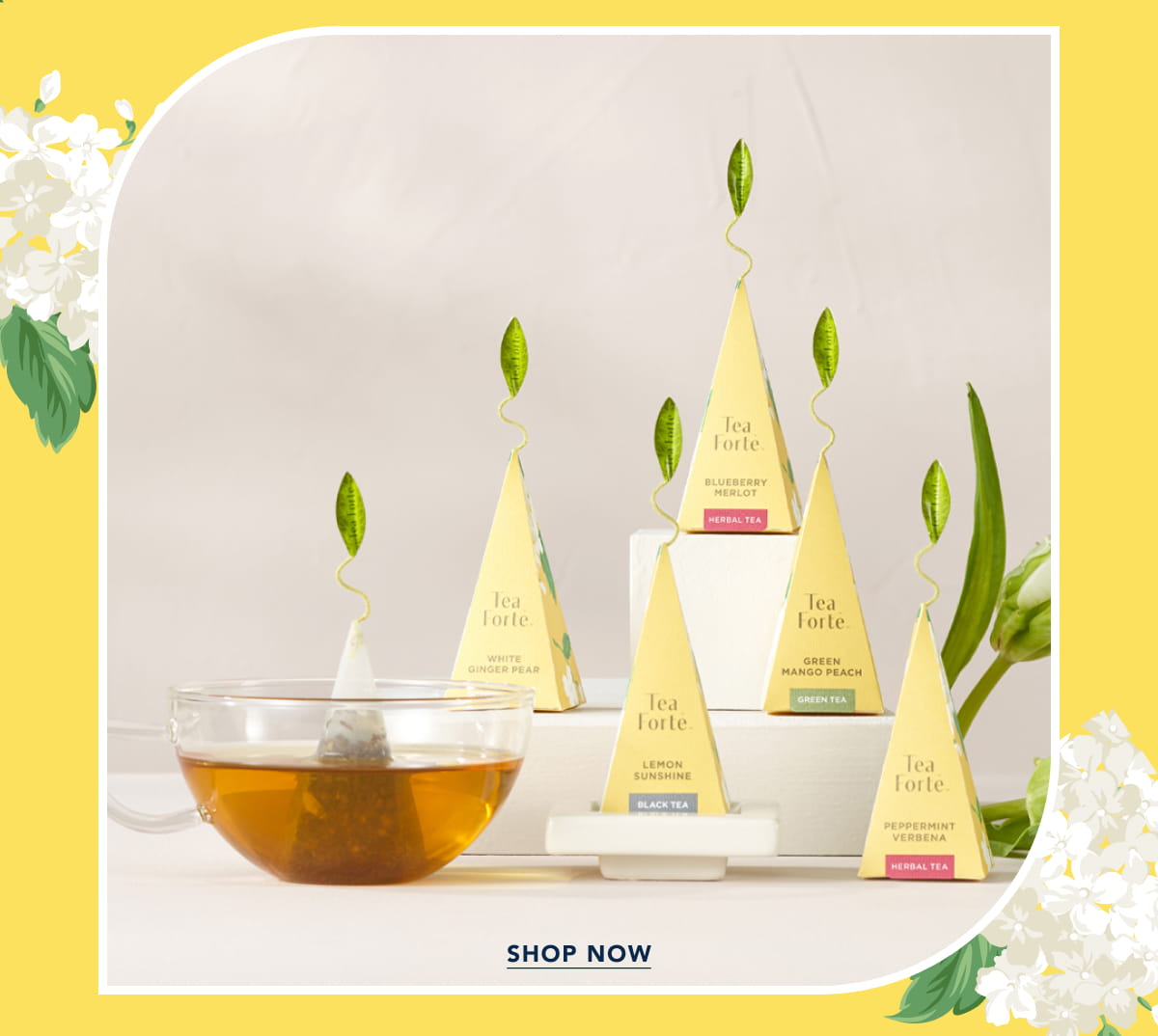 Discover the premium Hydrangea Collection and Lemon Sunshine tea created exclusively for Draper James.