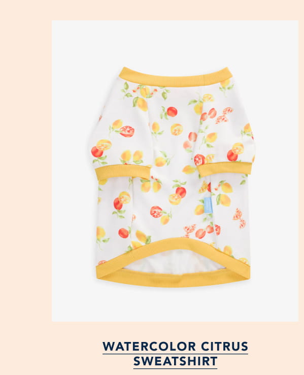 Watercolor Citrus Sweatshirt