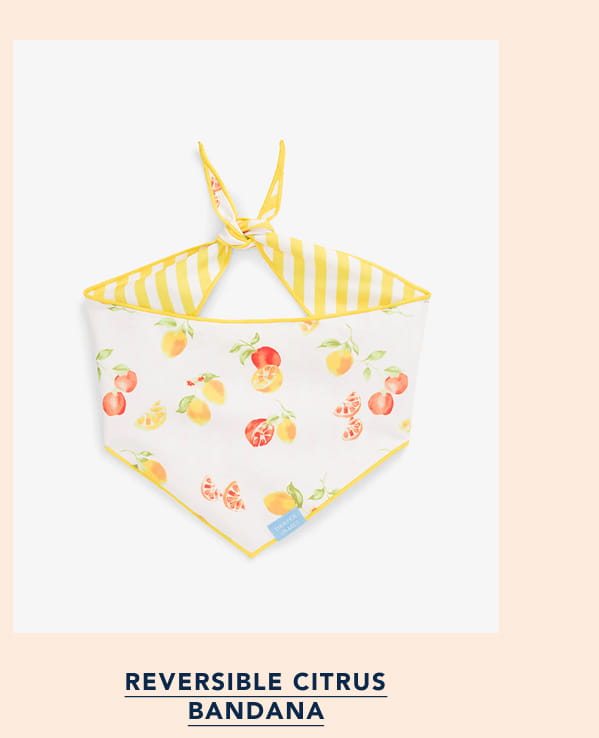 Reversible Citrus Bandana 