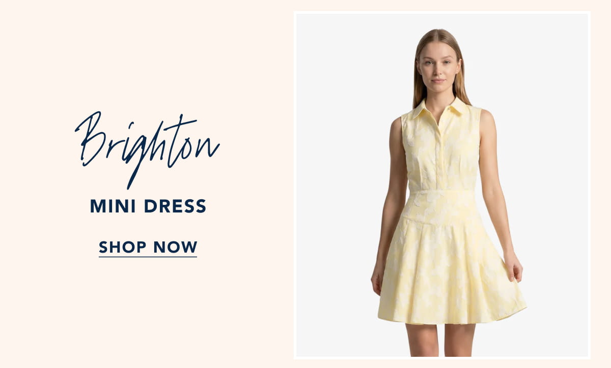 Brighton Mini Dress