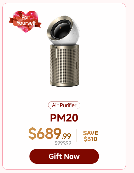 AirPursue PM20