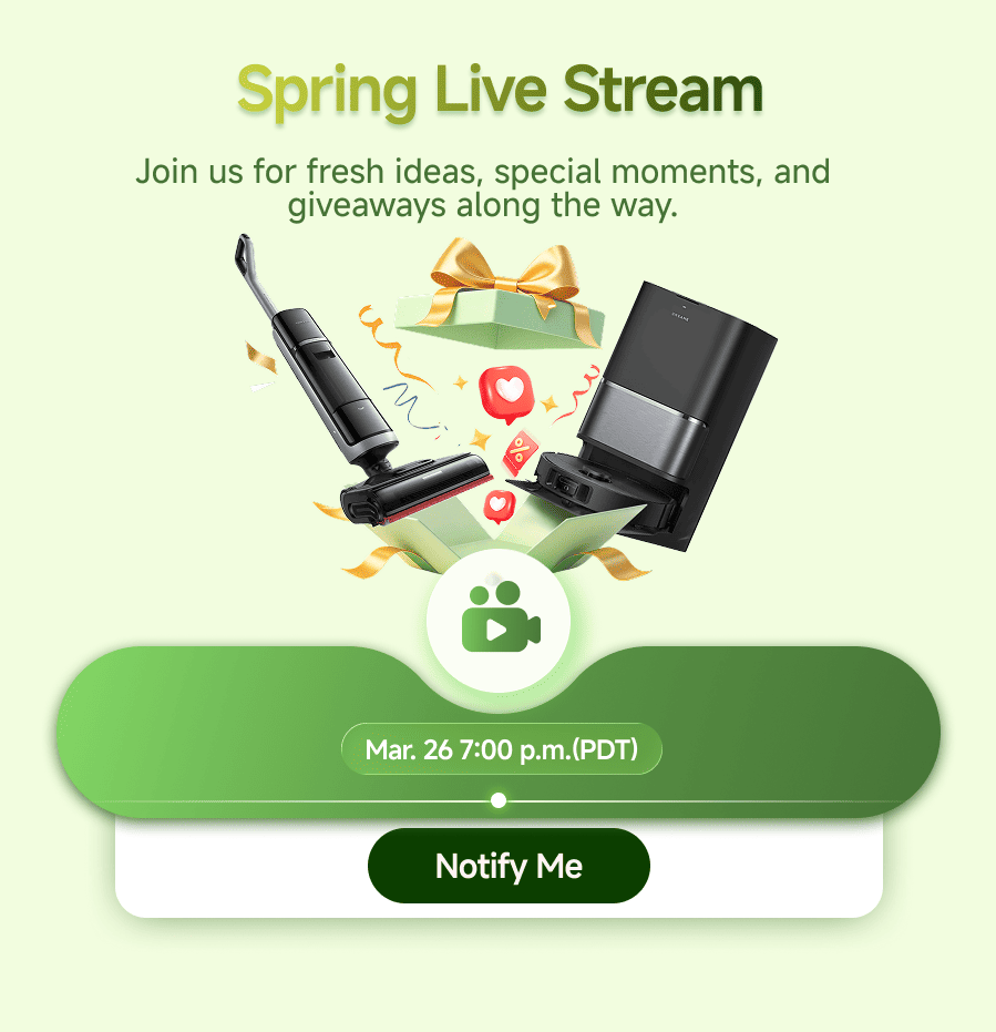 Live Stream