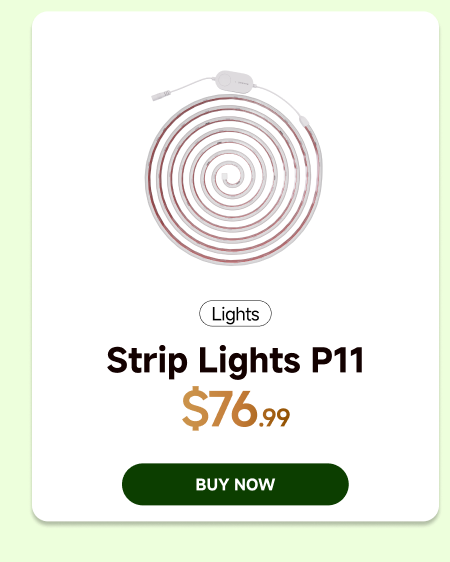 Strip Lights P11