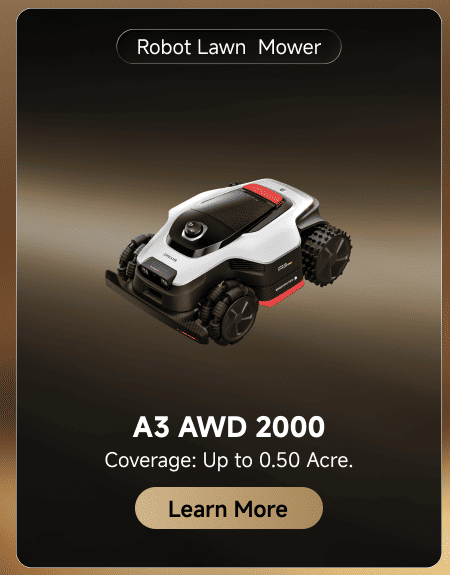 A3