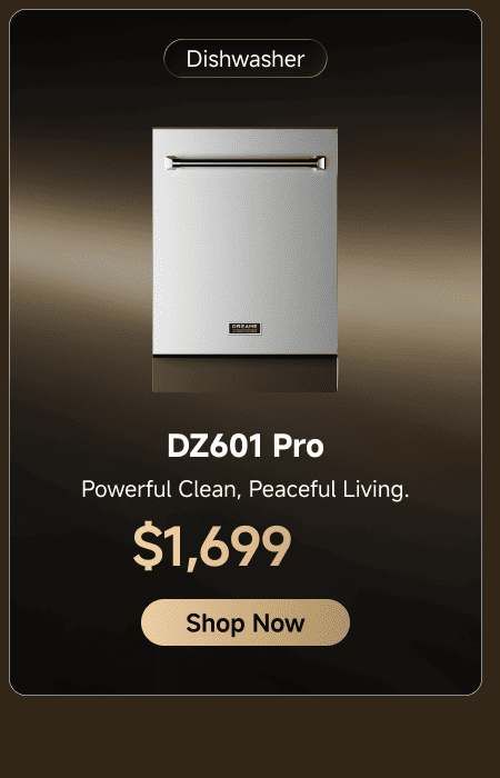 DZ601 Pro