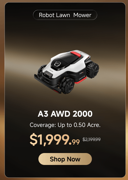A3