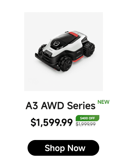 A3