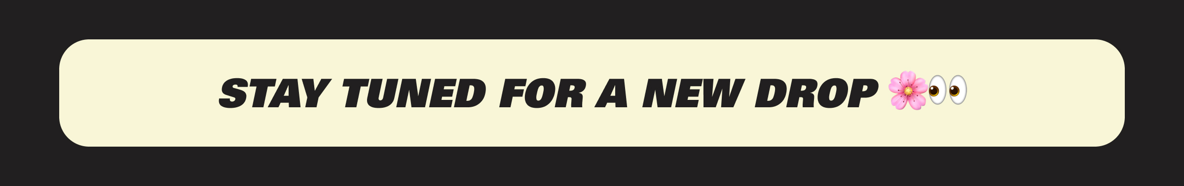 Stay tuned for a new drop coming soon! 