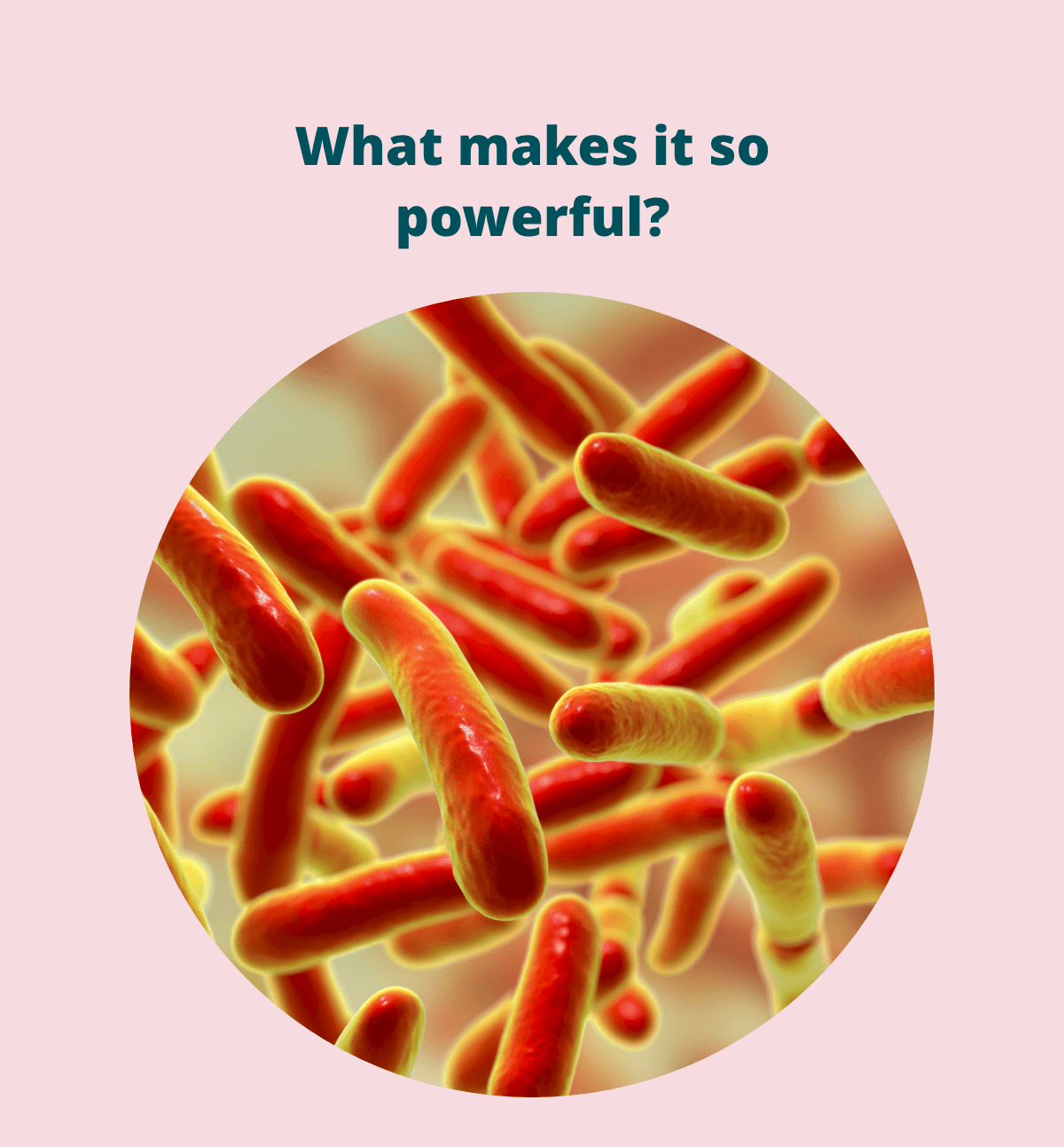 Dr. Kellyann - Harmony Probiotic - 1st Month Free!